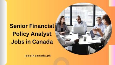 Senior Financial Policy Analyst Jobs in Canada