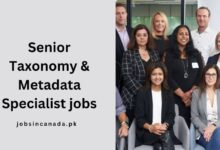 Senior Taxonomy & Metadata Specialist jobs