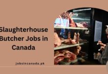 Slaughterhouse Butcher Jobs in Canada