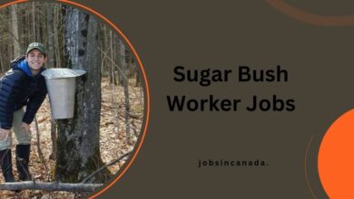 Sugar Bush Worker Jobs