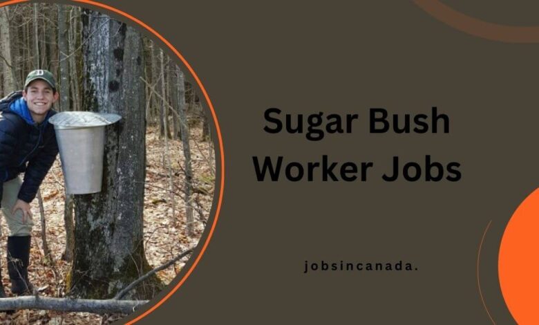 Sugar Bush Worker Jobs