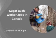 Sugar Bush Worker Jobs In Canada