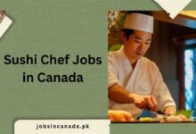 Sushi Chef Jobs in Canada