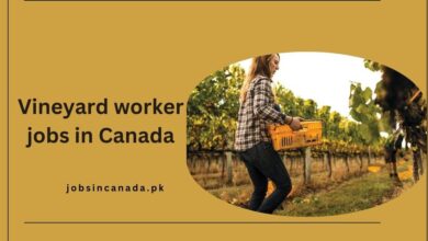 Vineyard worker jobs in Canada