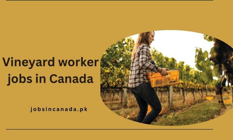 Vineyard worker jobs in Canada