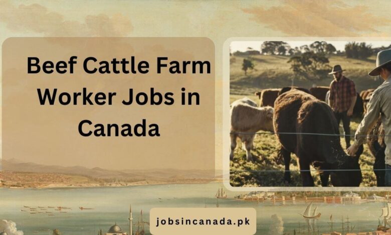 Beef Cattle Farm Worker Jobs in Canada