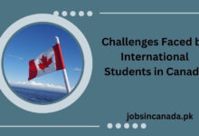 Challenges Faced by International Students in Canada