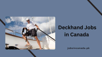 Deckhand Jobs in Canada