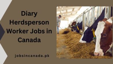 Diary Herdsperson Worker Jobs in Canada