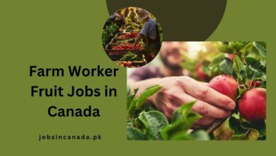 Farm Worker Fruit Jobs in Canada