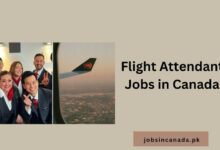 Flight Attendant Jobs in Canada