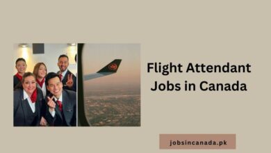 Flight Attendant Jobs in Canada