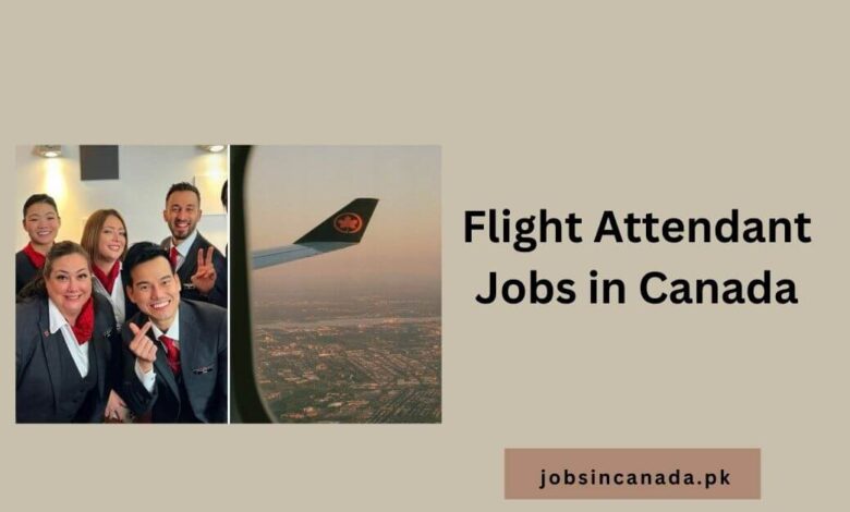 Flight Attendant Jobs in Canada