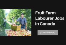 Fruit Farm Labourer Jobs in Canada