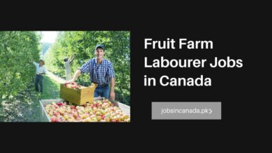 Fruit Farm Labourer Jobs in Canada