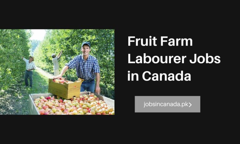 Fruit Farm Labourer Jobs in Canada