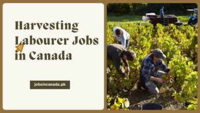 Harvesting Labourer Jobs in Canada