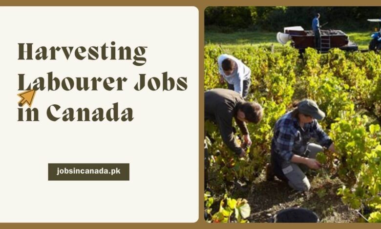 Harvesting Labourer Jobs in Canada