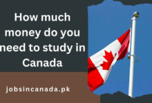 How much money do you need to study in Canada