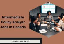 Intermediate Policy Analyst Jobs in Canada