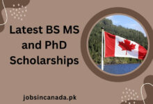 Latest BS MS and PhD Scholarships