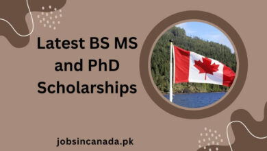 Latest BS MS and PhD Scholarships