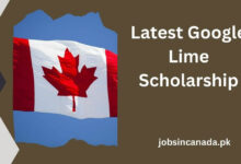 Latest Google Lime Scholarship