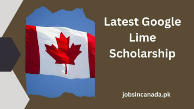 Latest Google Lime Scholarship