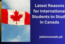 Latest Reasons for International Students to Study in Canada