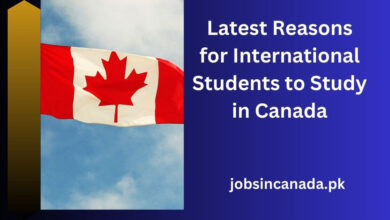 Latest Reasons for International Students to Study in Canada