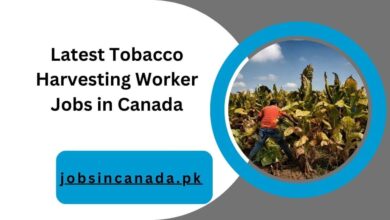 Latest Tobacco Harvesting Worker Jobs in Canada