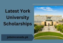 Latest York University Scholarships