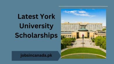 Latest York University Scholarships