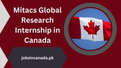 Mitacs Global Research Internship in Canada