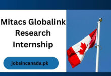 Mitacs Globalink Research Internship