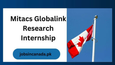 Mitacs Globalink Research Internship