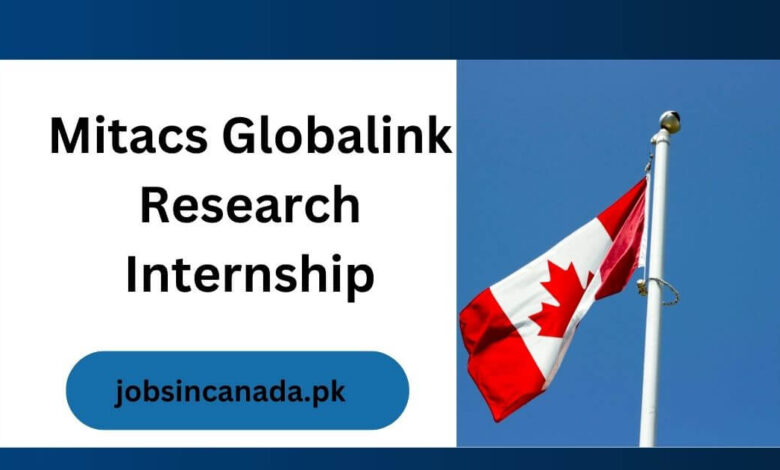 Mitacs Globalink Research Internship