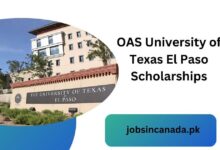 OAS University of Texas El Paso Scholarships