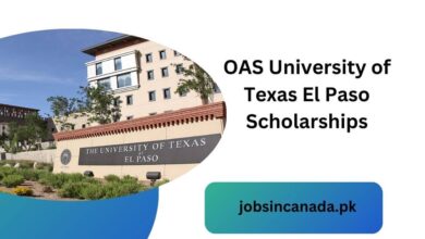 OAS University of Texas El Paso Scholarships