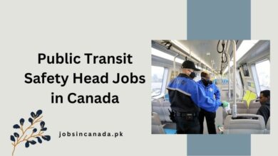 Public Transit Safety Head Jobs in Canada