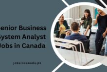 Senior Business System Analyst Jobs in Canada