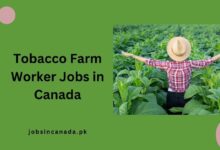 Tobacco Farm Worker Jobs in Canada