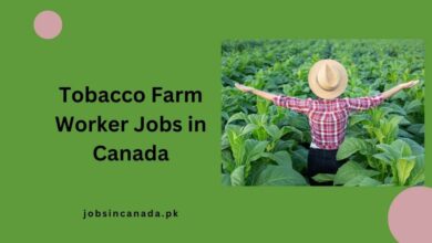 Tobacco Farm Worker Jobs in Canada