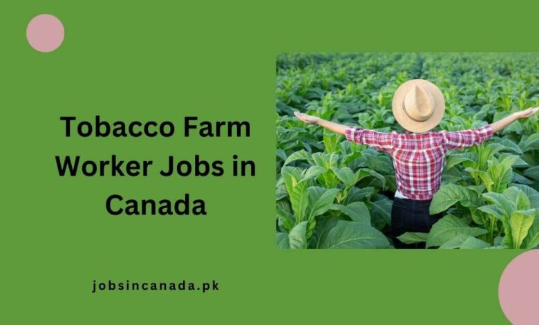 Tobacco Farm Worker Jobs in Canada