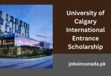 University of Calgary International Entrance Scholarship