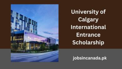 University of Calgary International Entrance Scholarship