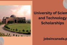 University of Science and Technology Scholarships