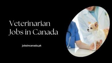 Veterinarian Jobs in Canada