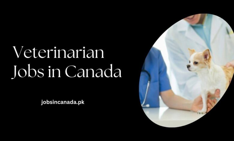 Veterinarian Jobs in Canada