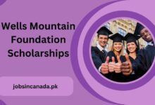 Wells Mountain Foundation Scholarships